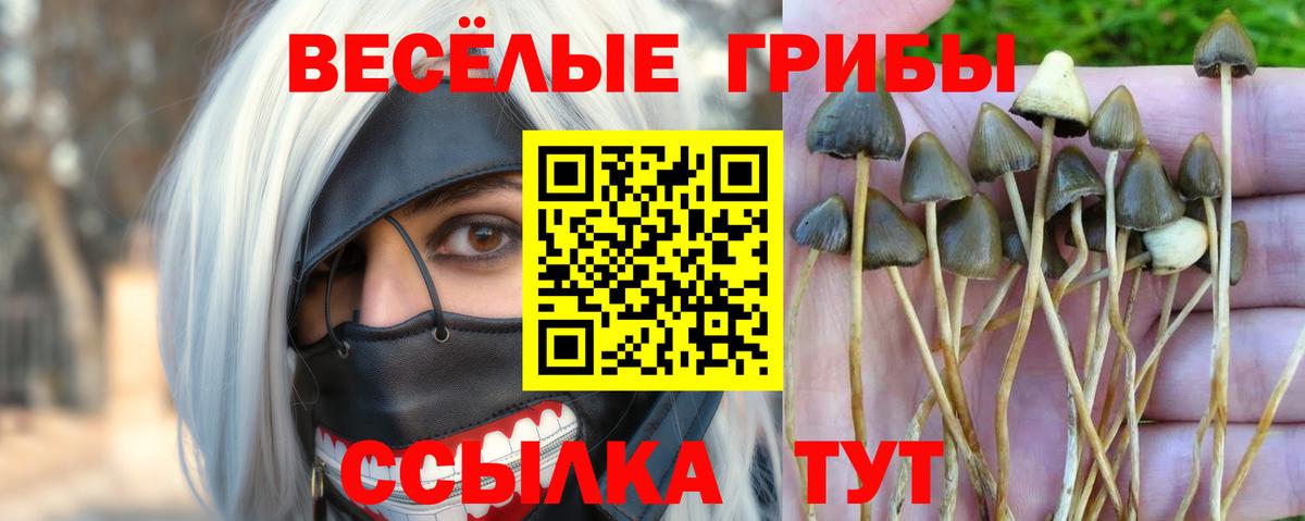 Галлюциногенные грибы ЛСД Сокол