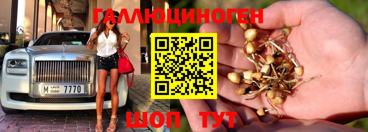 Псилоцибиновые грибы прущие грибы  Вход с VPN  Сокол  Галлюциногенные грибы прущие грибы 